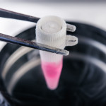frozen cell culture sample